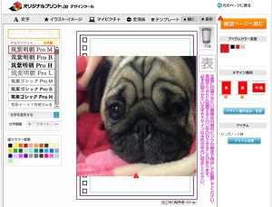パグの、どアップがかわいい！