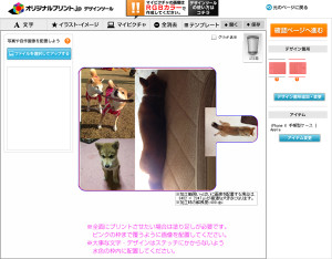 ケース内側の写真配置。